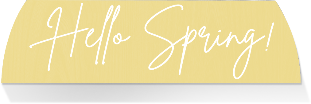 Limited Edition MIDDLE -HELLO SPRING