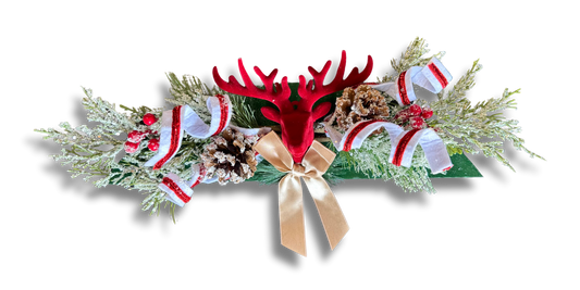 Limited edition TOPS-RUDOLPH