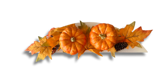 Limited edition TOPS-PUMPKIN FARM